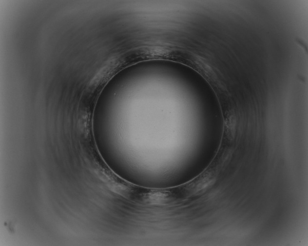 X0000101950462200807181454