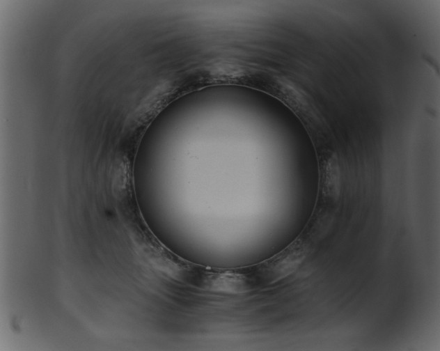 X0000101950463200807181454