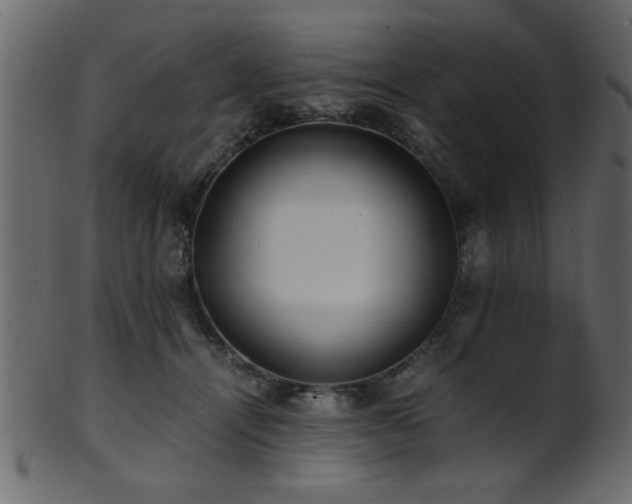 X0000101950464200807181454