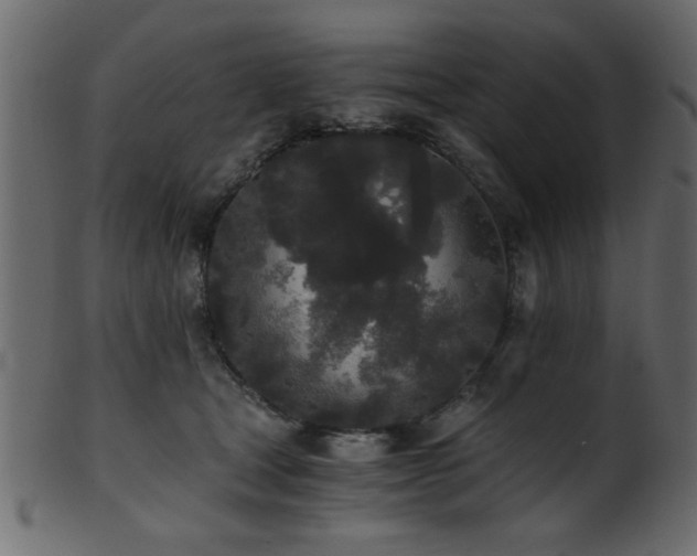 X0000101950465200807181454