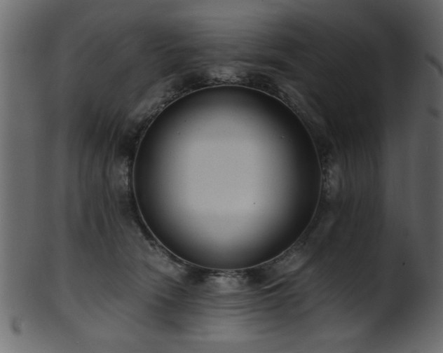 X0000101950466200807181454