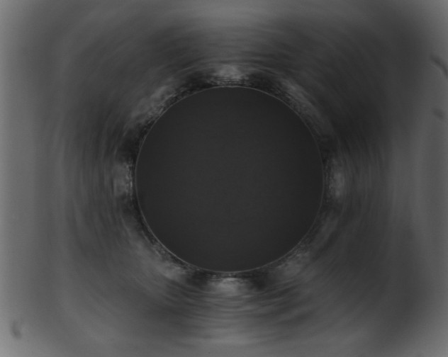 X0000101950467200807181454