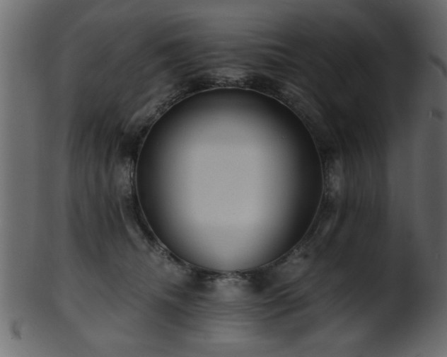 X0000101950468200807181454