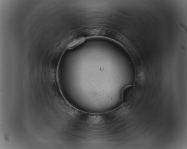 X0000101950469200807181454