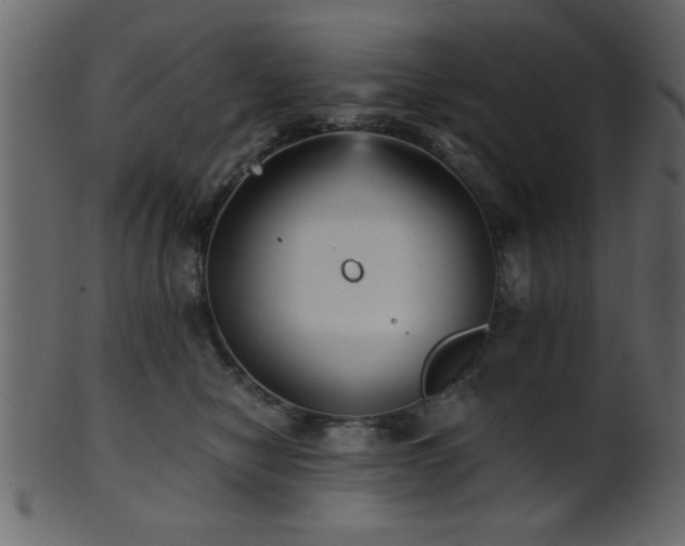 X0000101950470200807181454