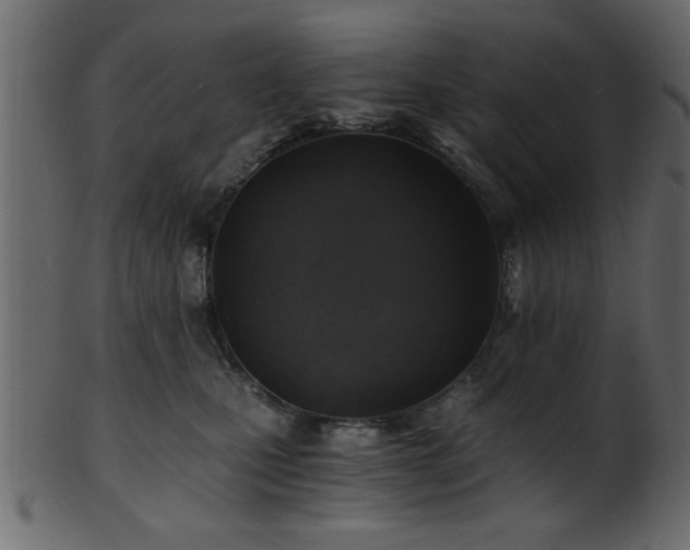 X0000101950471200807181454