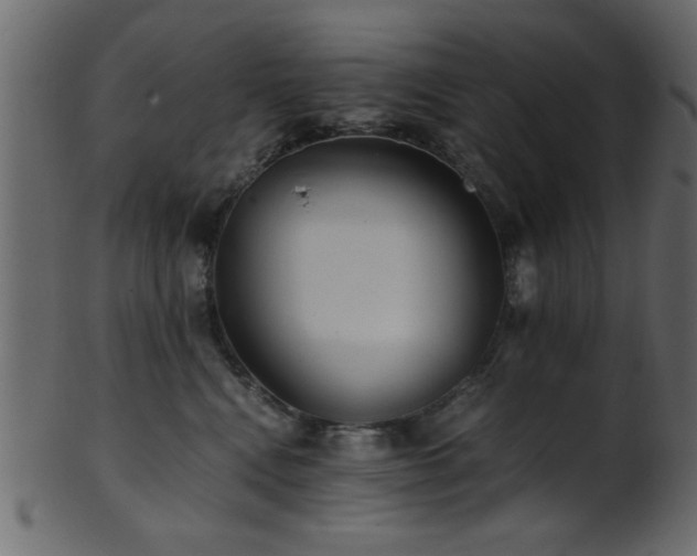 X0000101950472200807181454