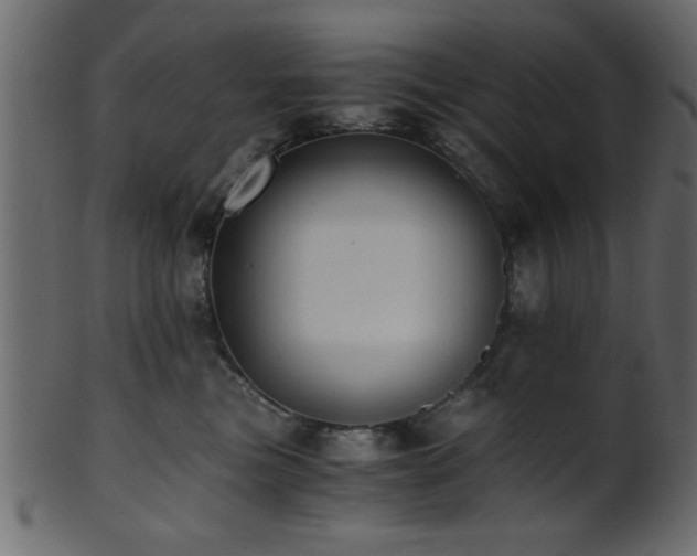 X0000101950473200807181454