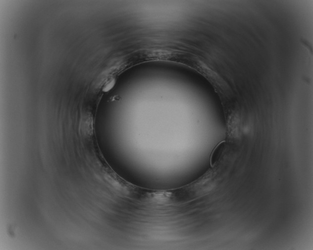 X0000101950474200807181454