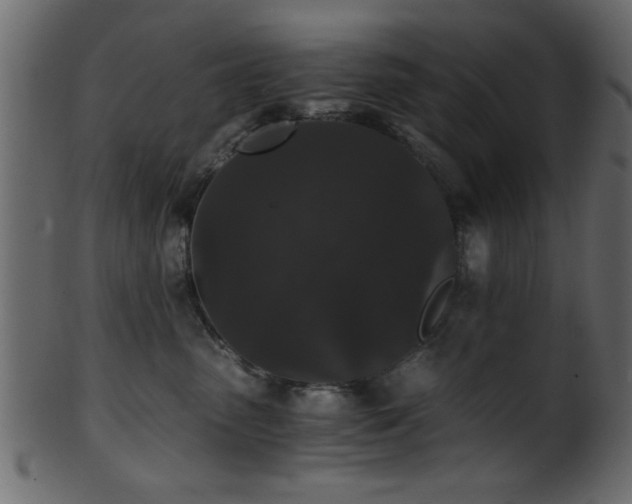 X0000101950475200807181454