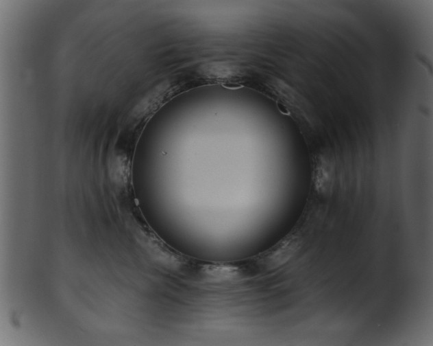 X0000101950476200807181454