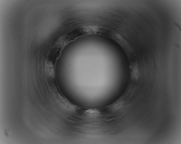 X0000101950477200807181454