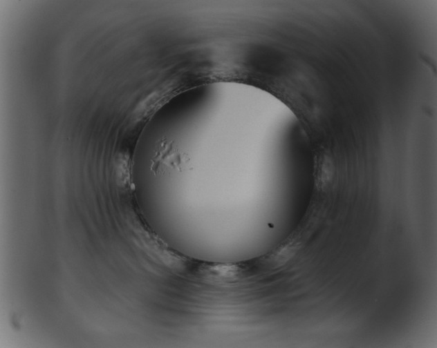 X0000101950478200807181454