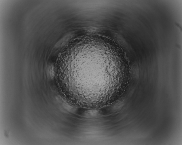 X0000101950479200807181454