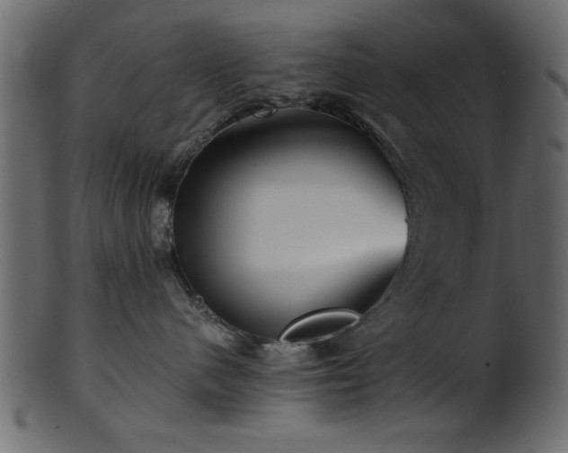 X0000101950480200807181454