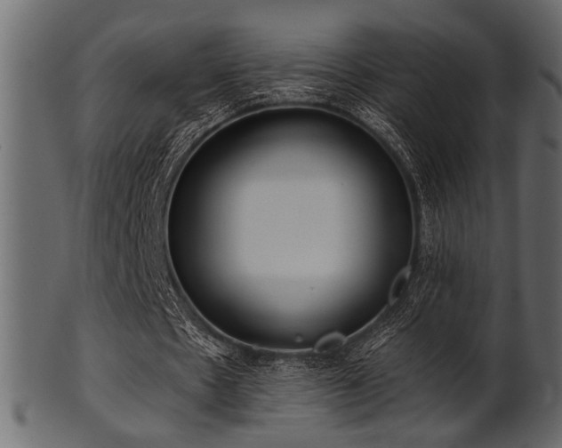 X0000101950481200807181454