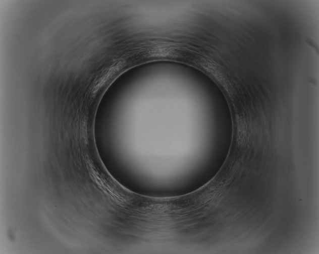 X0000101950482200807181454