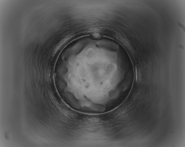 X0000101950483200807181454