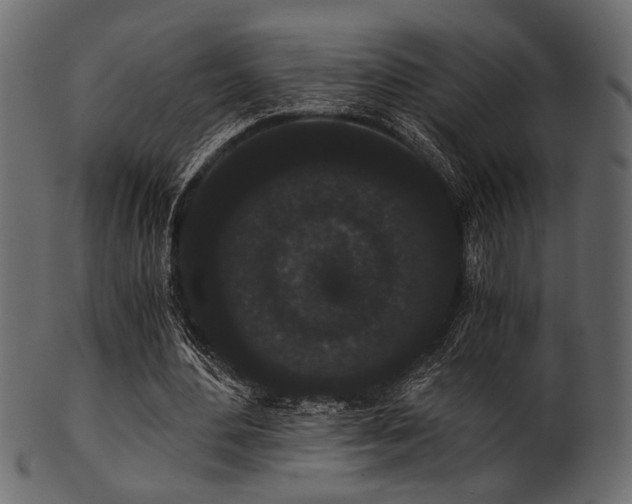 X0000101950484200807181454