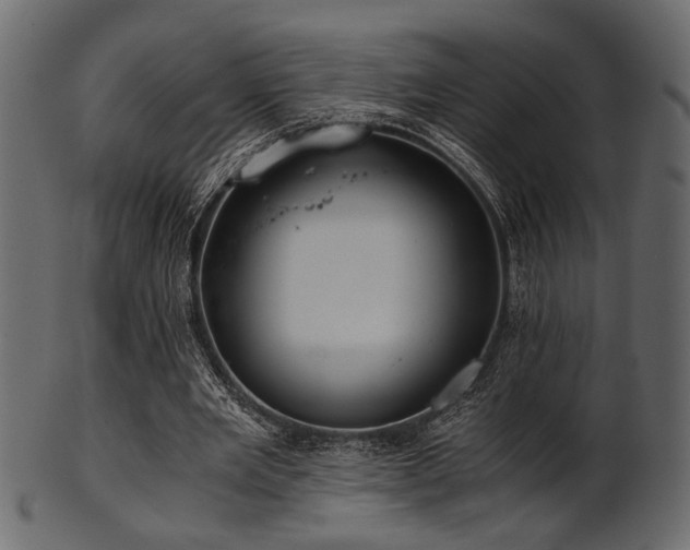 X0000101950485200807181454