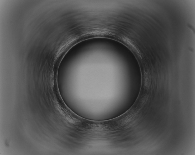 X0000101950486200807181454