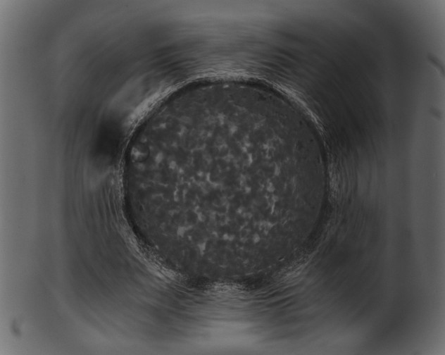 X0000101950487200807181454