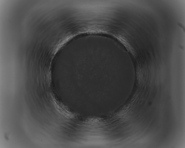 X0000101950488200807181454