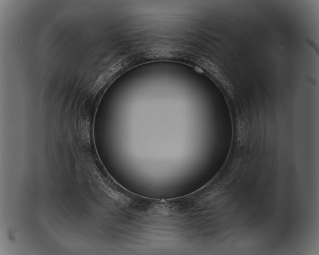 X0000101950489200807181454