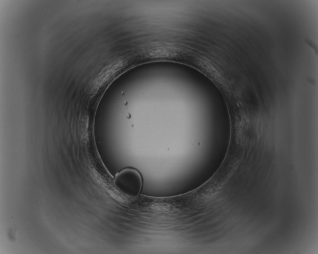 X0000101950490200807181454