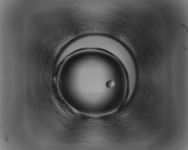 X0000101950491200807181454