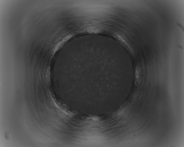 X0000101950492200807181453