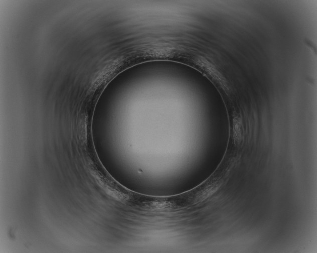 X0000101950493200807181453