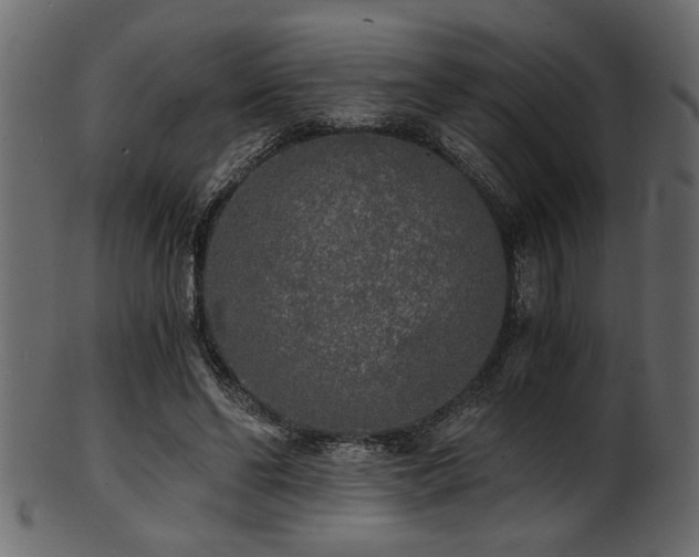 X0000101950494200807181453