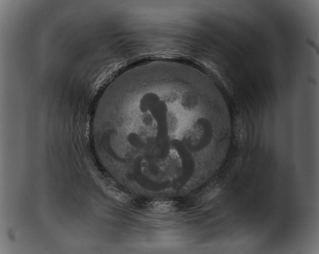 X0000101950495200807181453