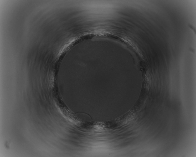 X0000101950496200807181453