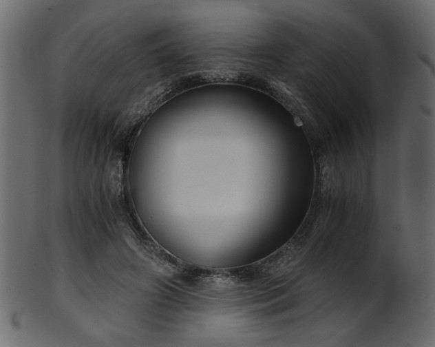 X0000101950498200807181453