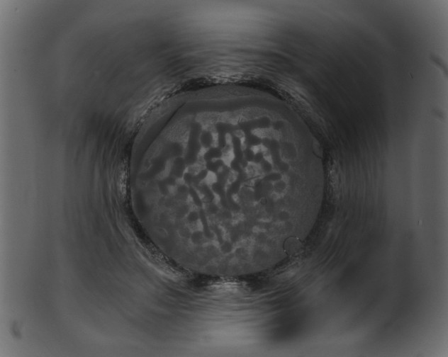 X0000101950499200807181453