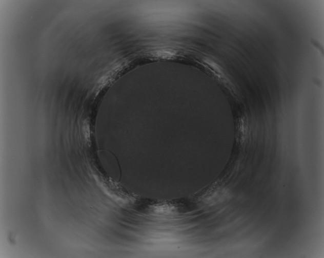 X0000101950500200807181453