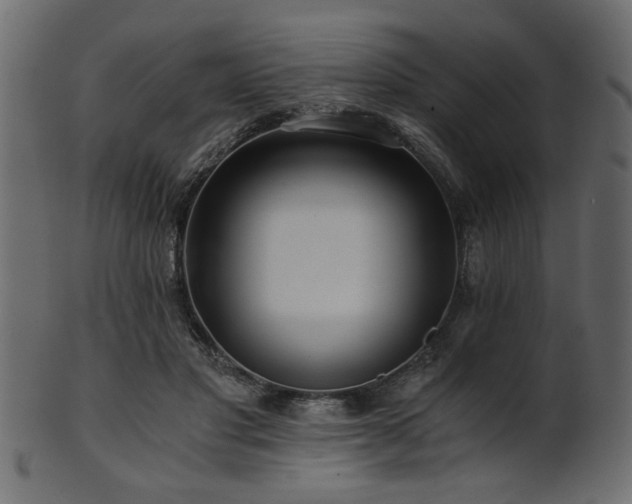 X0000101950501200807181453