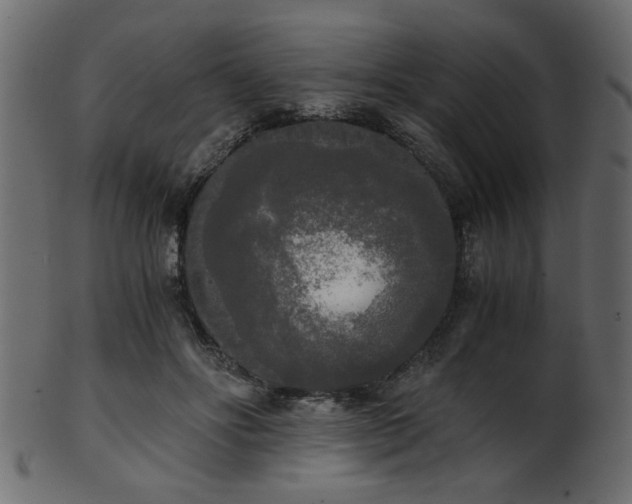 X0000101950502200807181453