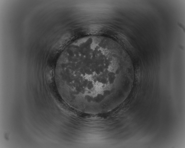 X0000101950503200807181453