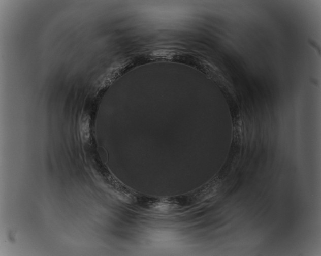 X0000101950504200807181453