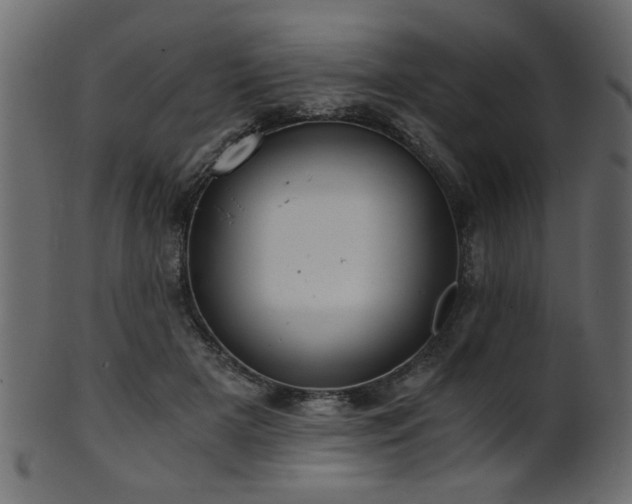 X0000101950505200807181453