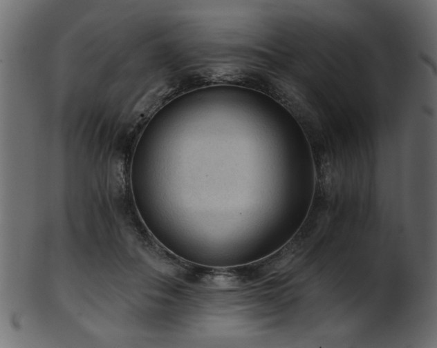 X0000101950506200807181453