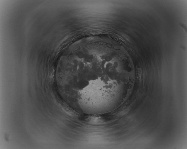 X0000101950507200807181453