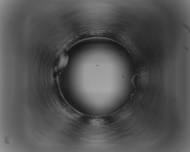 X0000101950508200807181453