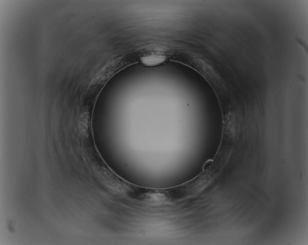 X0000101950509200807181453