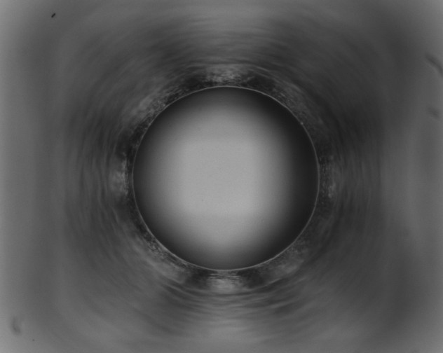 X0000101950510200807181453