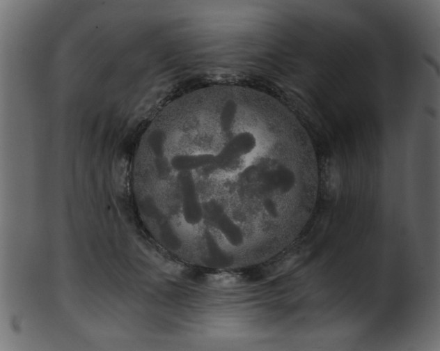 X0000101950511200807181453