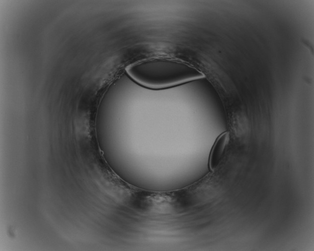 X0000101950512200807181453